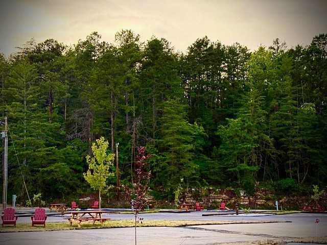 Picnic tables and chairs in a parking area, with a forest backdrop.