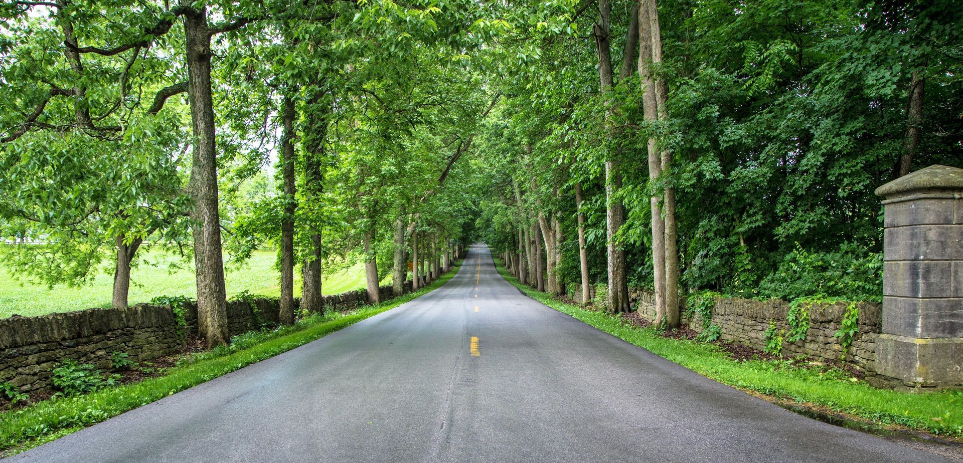 A road with trees on both sides of it and a stone wall.