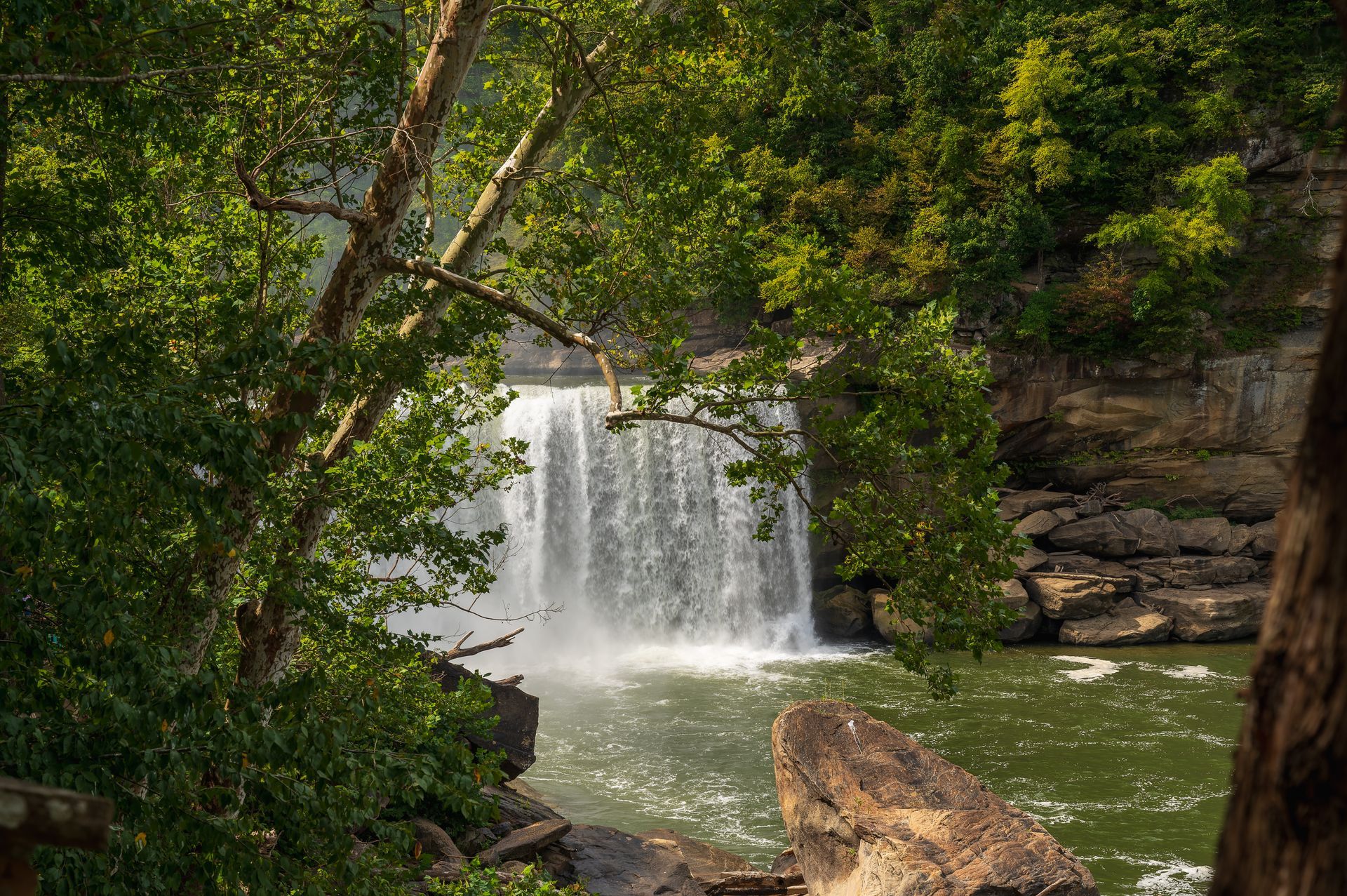 A waterfall is surrounded by trees and rocks in the middle of a river.