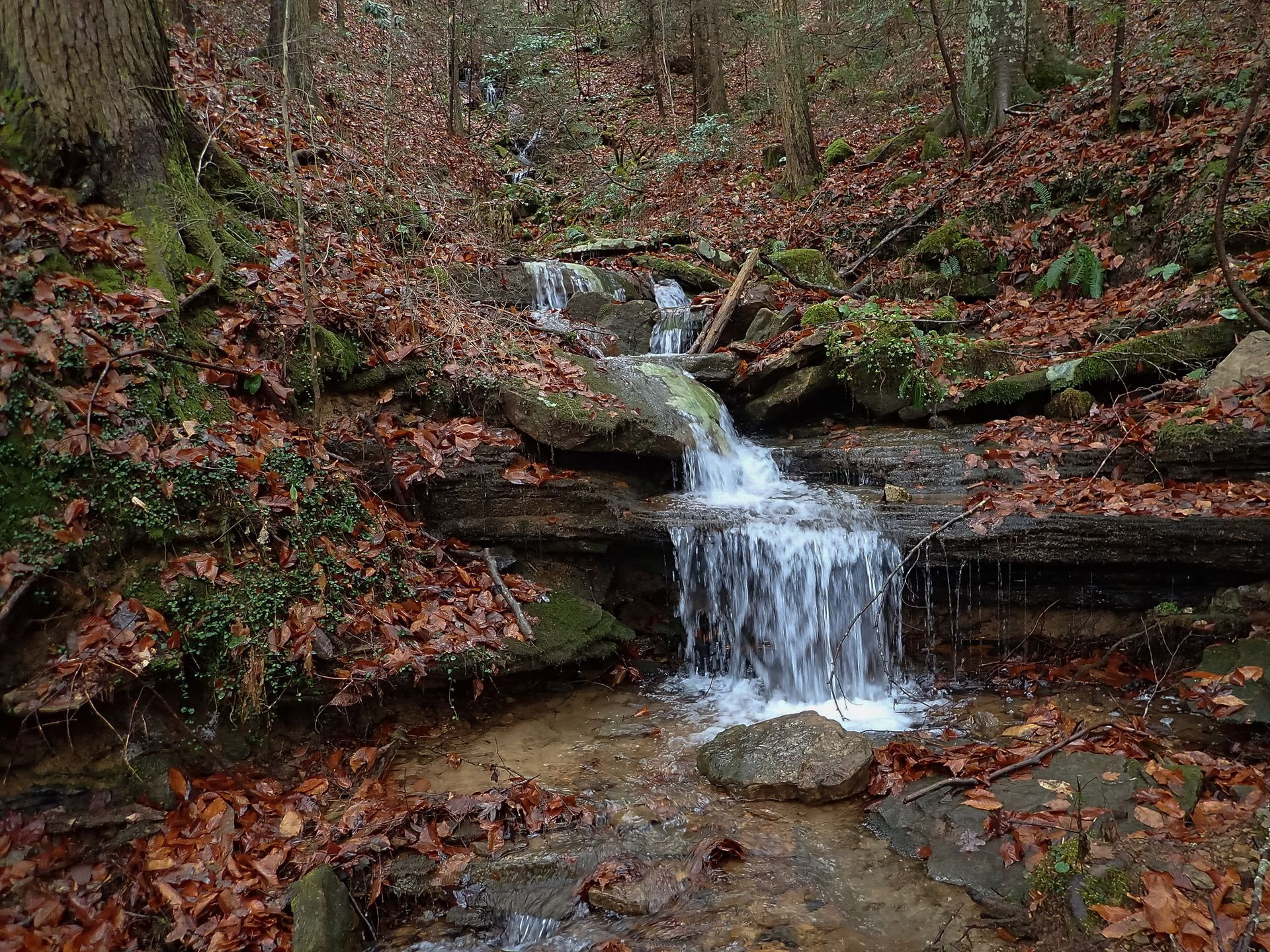 A woman is riding a tube in a swimming pool.