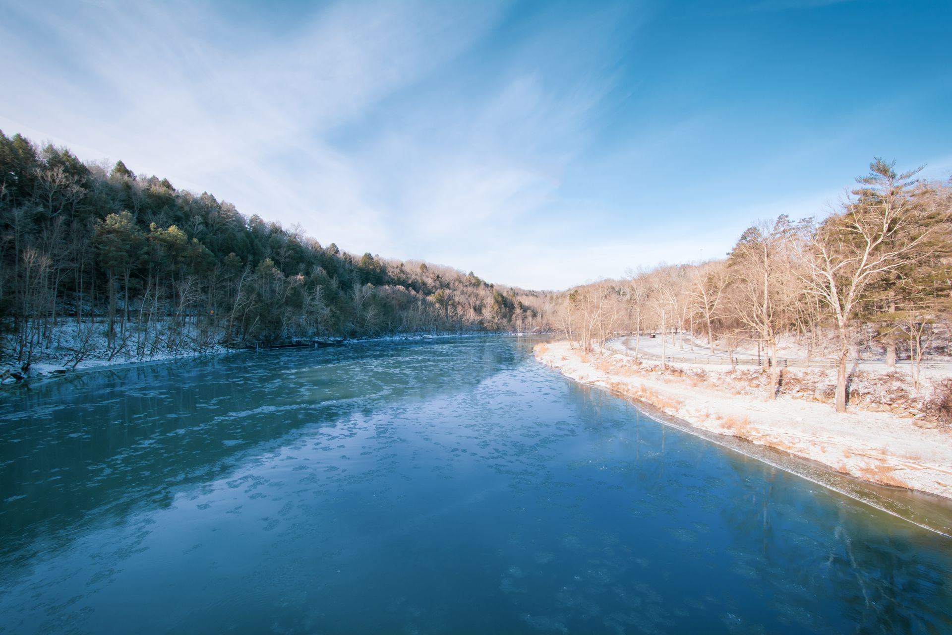 A large body of water surrounded by trees on a sunny day.