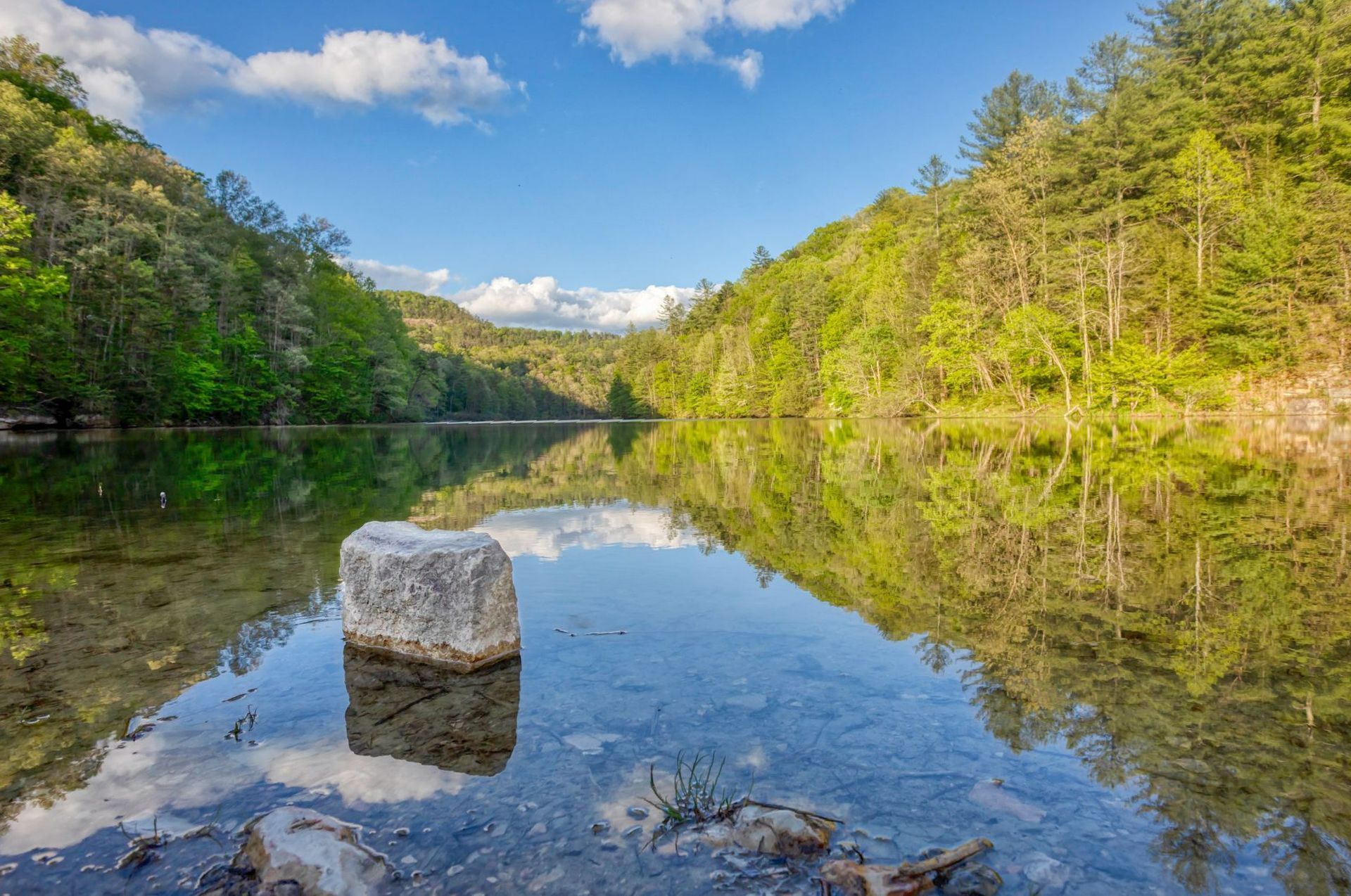 A large rock is sitting in the middle of a lake surrounded by trees.