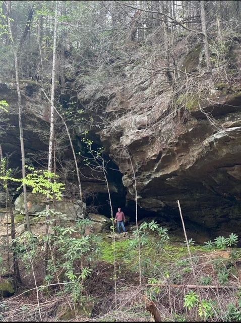 A man is standing in front of a cave in the woods.