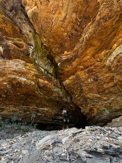 A person is standing in front of a large rock formation.