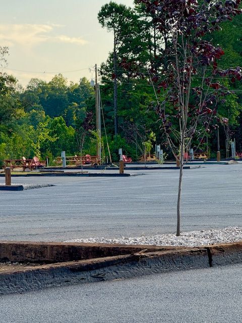 Empty paved parking lot with a small tree in the foreground and forest in the background.