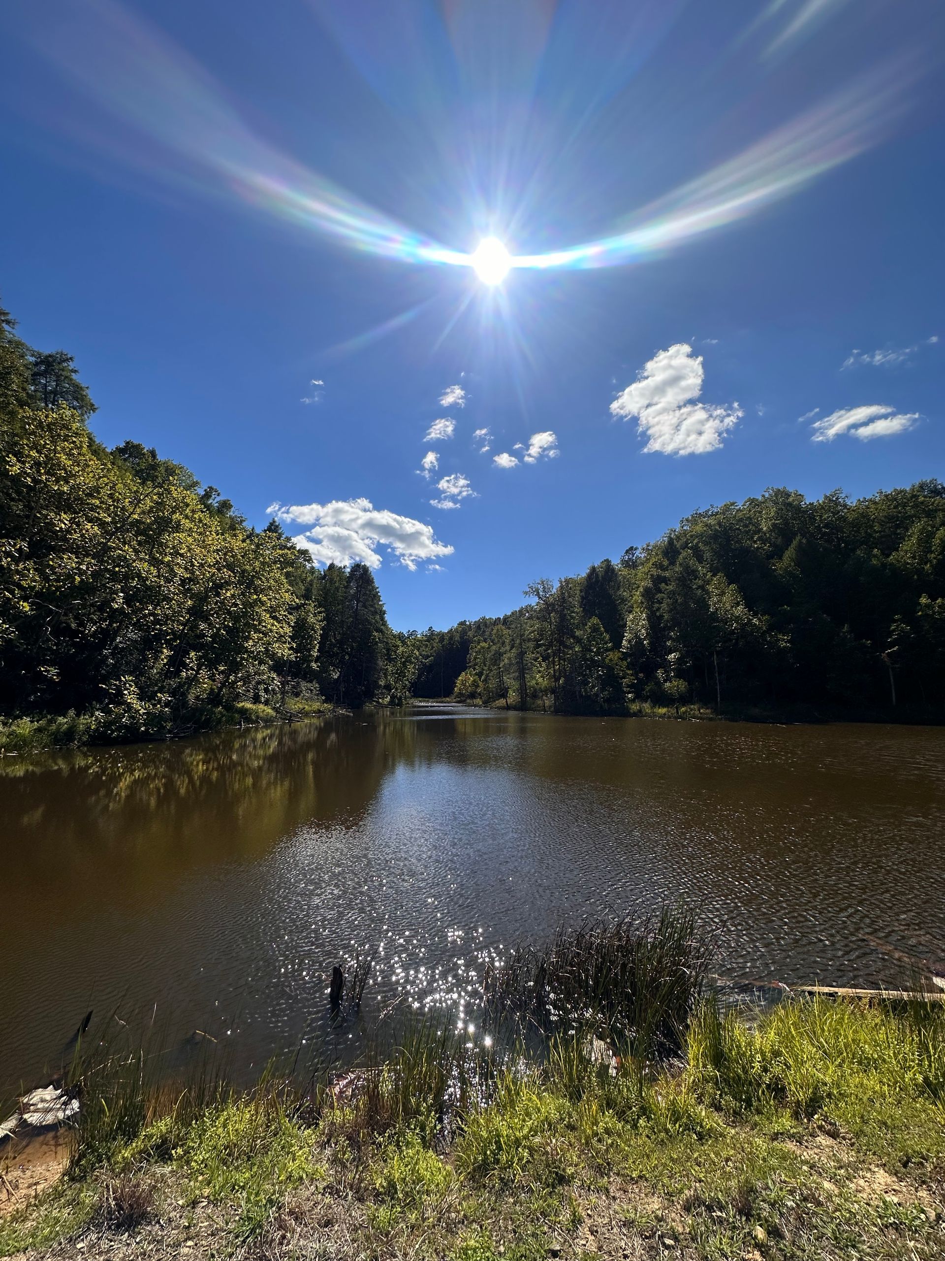 The sun is shining brightly over a lake surrounded by trees