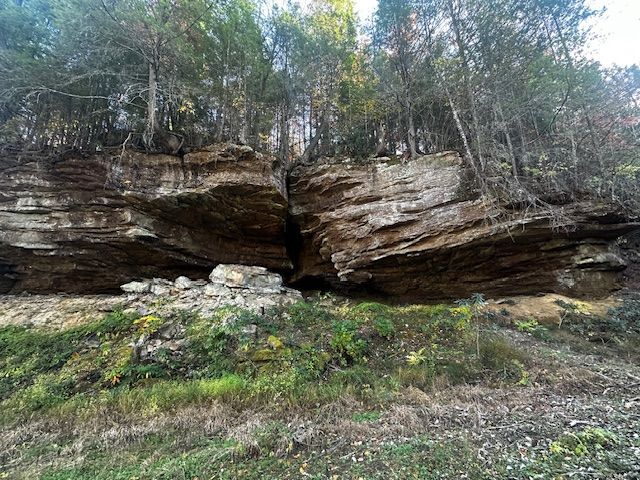 A large rock formation in the middle of a forest surrounded by trees.