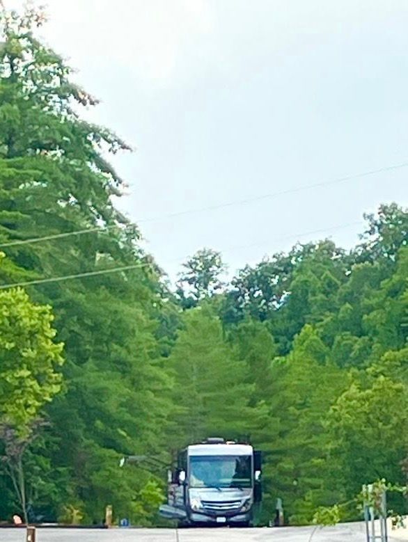 RV parked amidst lush green trees under a cloudy sky.