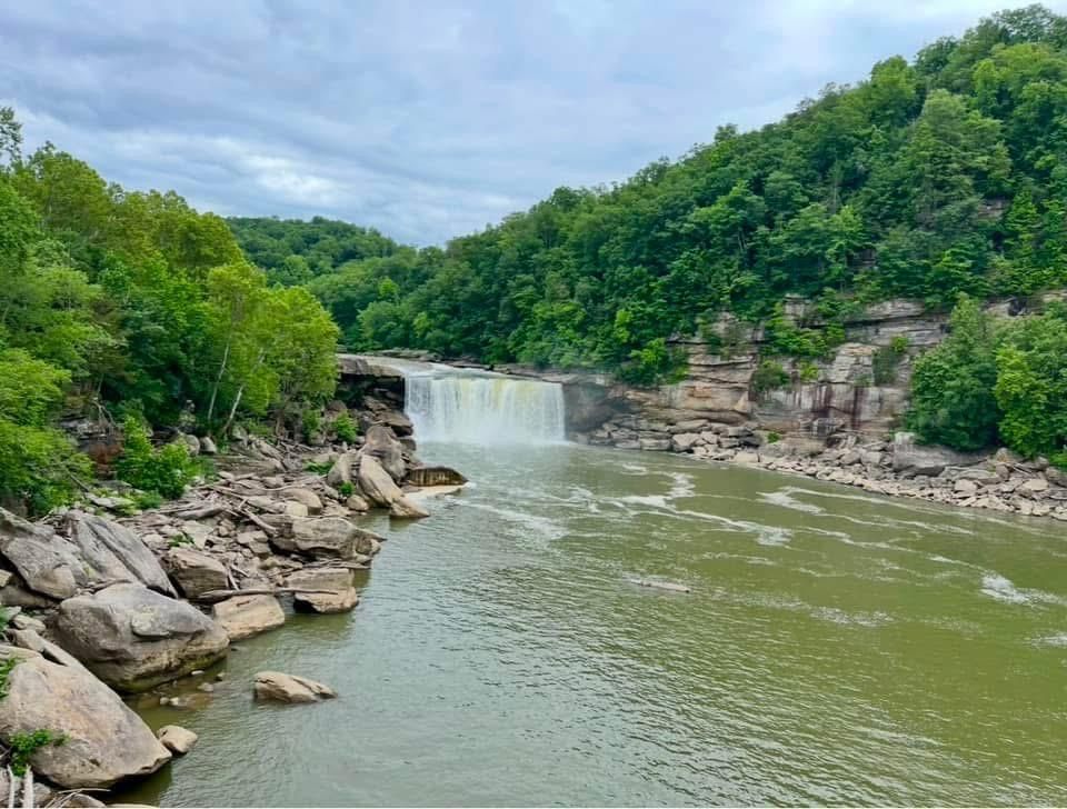A waterfall is surrounded by trees and rocks in the middle of a river.