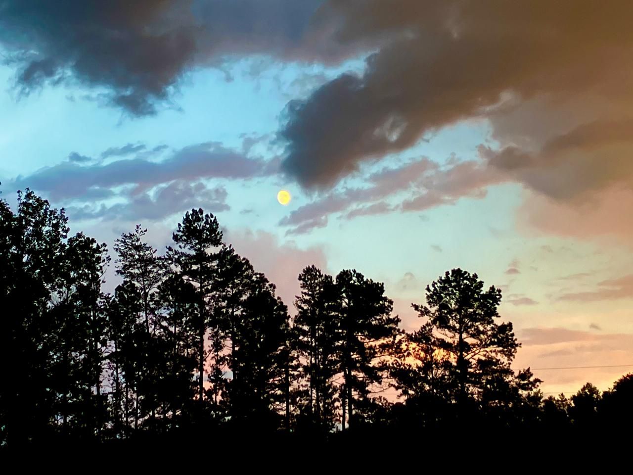 Silhouetted trees against a colorful sunset: blue, orange, and gray clouds, and a pale yellow moon.