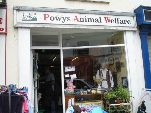 Image of Welshpool shop front