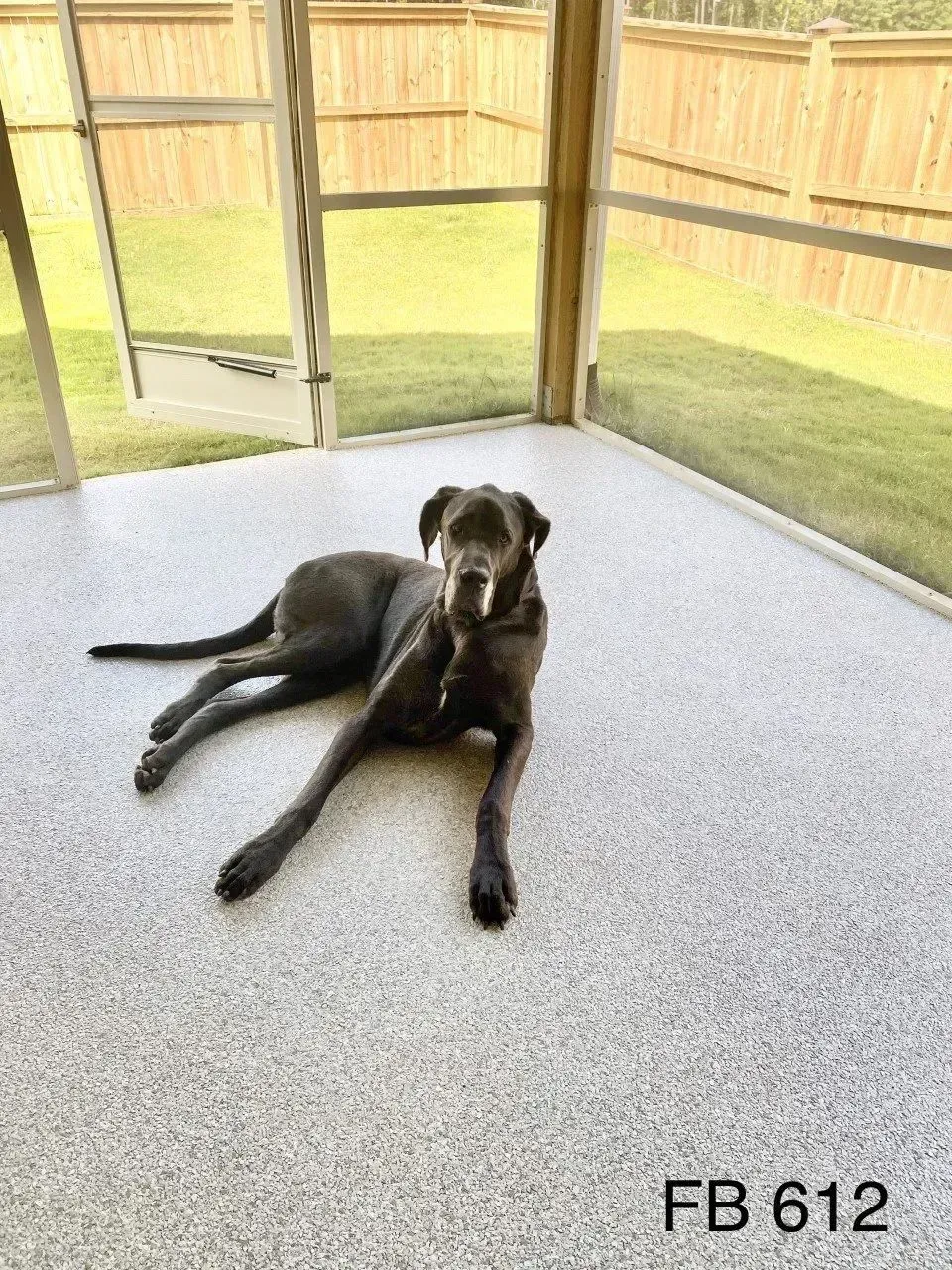 Black dog lounging on speckled floor inside a screened porch, looking at the camera. Green lawn visible outside.