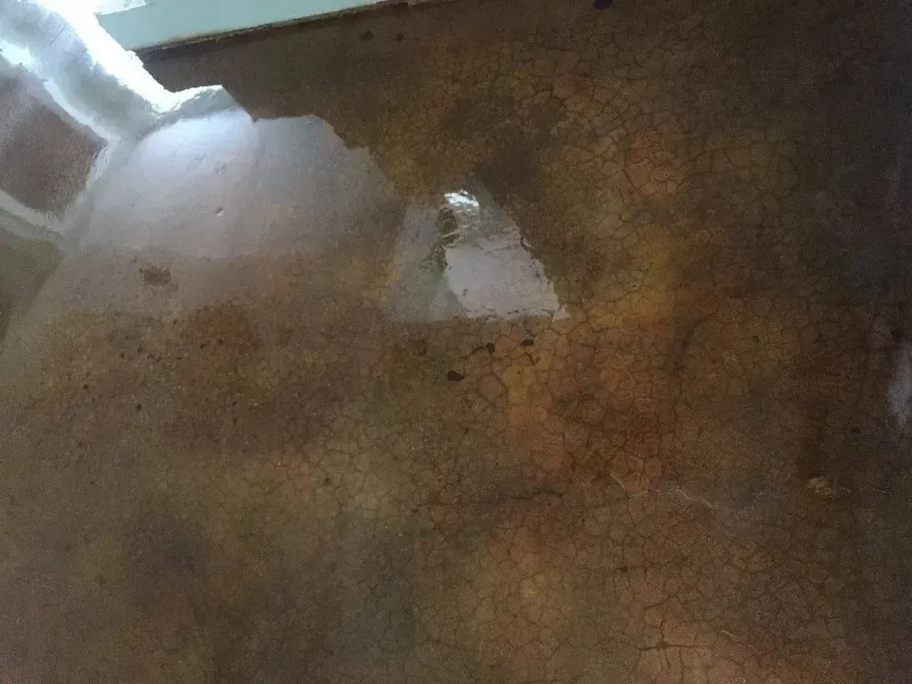 Brown, textured surface with water and a bright reflection.