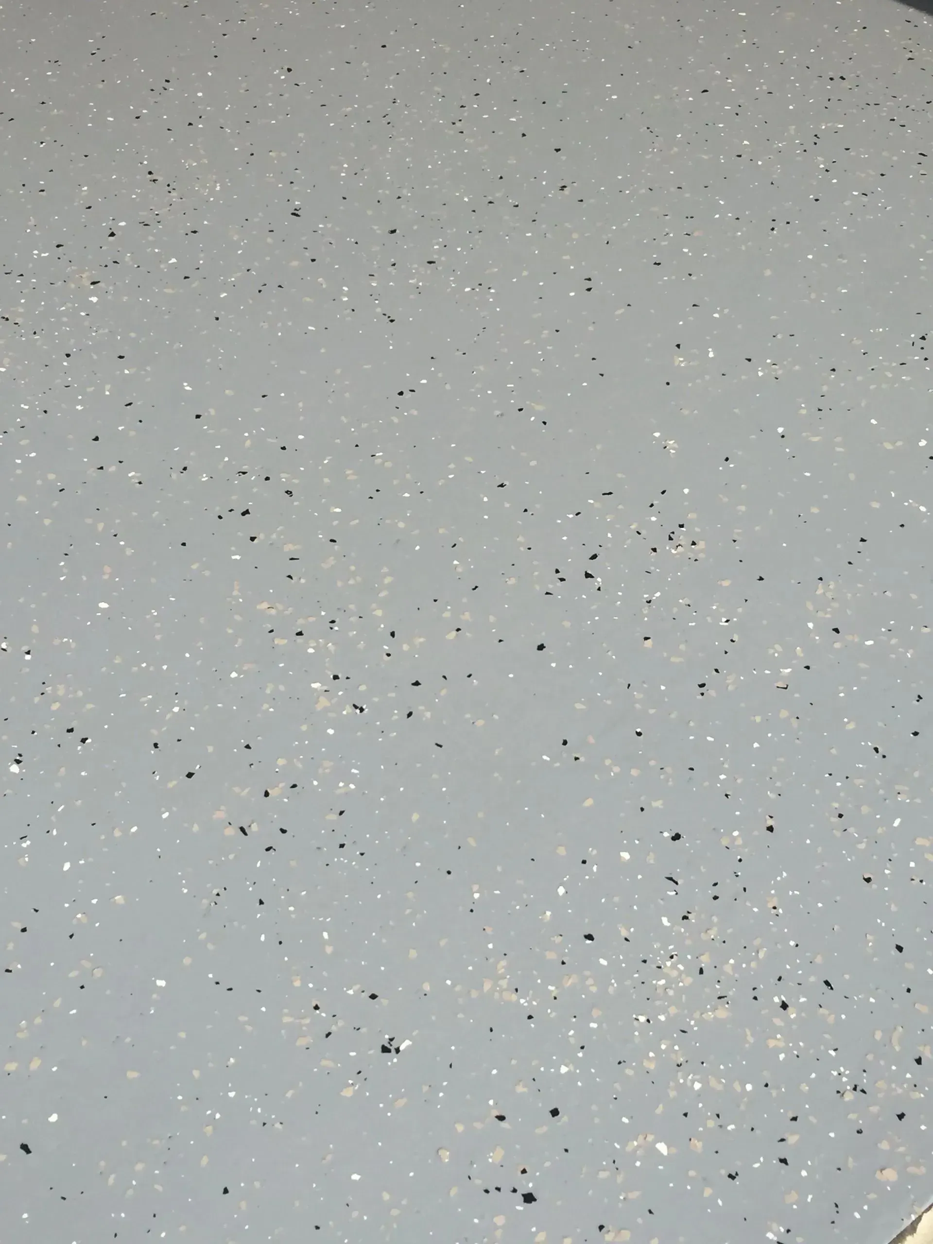 Gray garage floor with speckled black, white, and gray flakes.