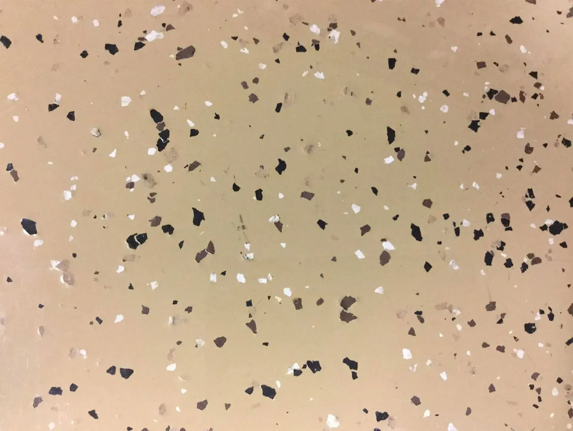 Tan epoxy floor with scattered black, white, and gray flakes.