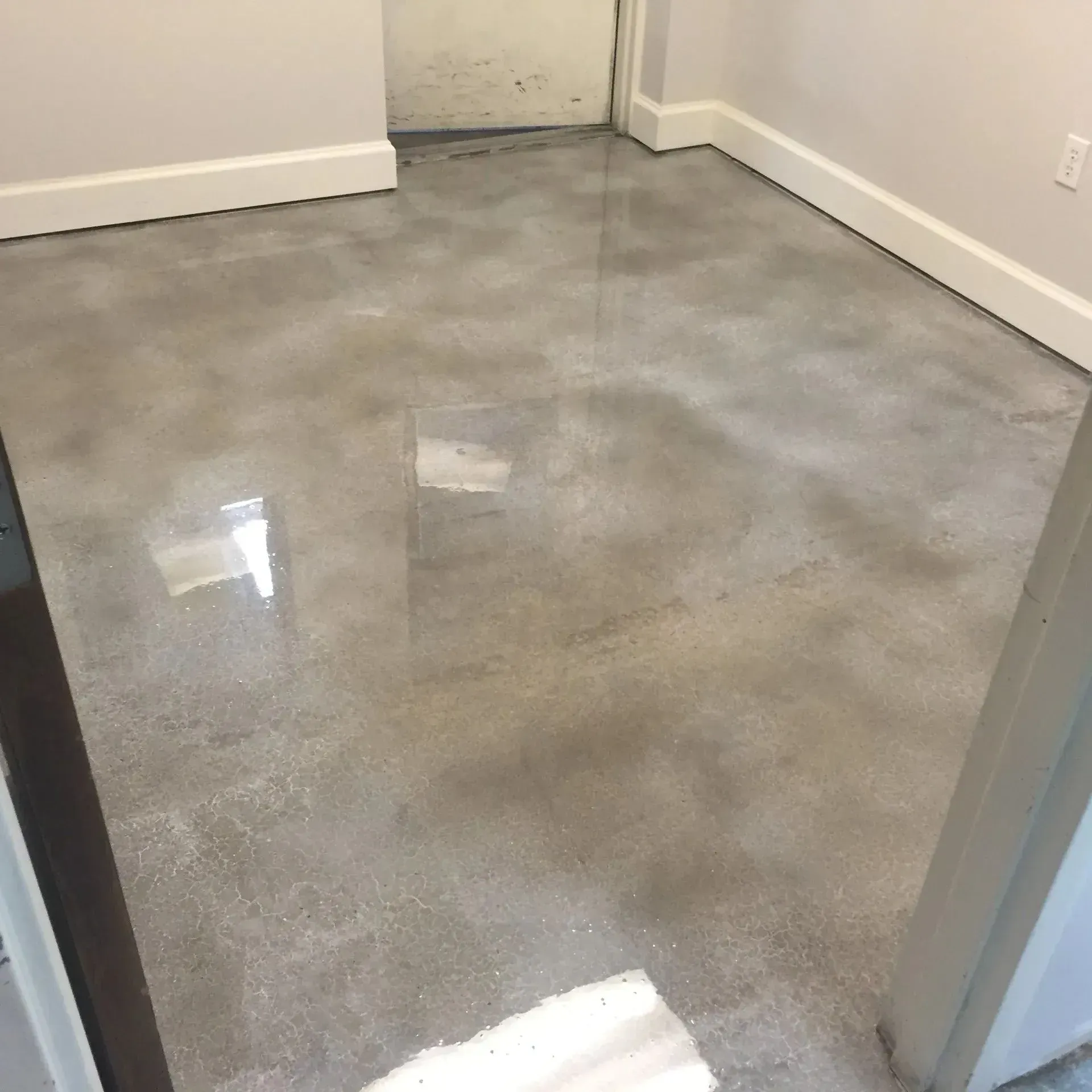 Glossy gray concrete floor in a room, white trim on walls.