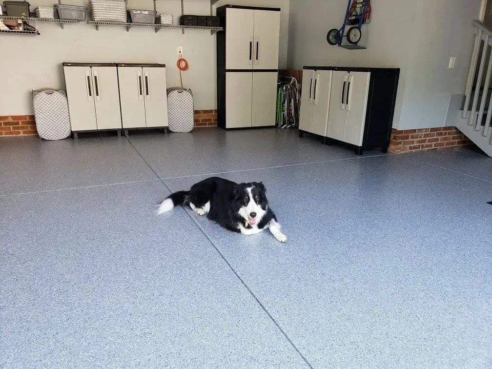 Black and white dog lying on a gray epoxy garage floor, cabinets in the background.
