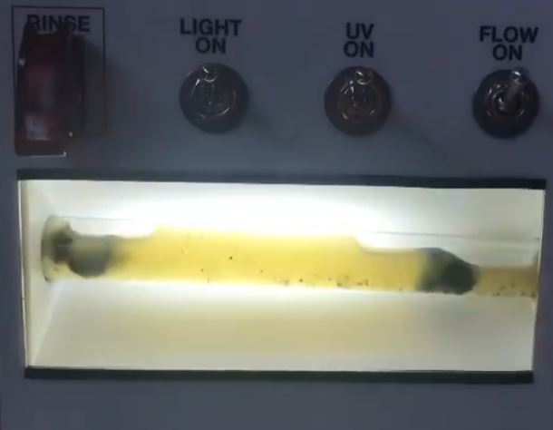 A rinse light on and uv on switch