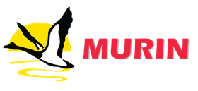 Logo of a bird in flight over water and sun. Red text reads 