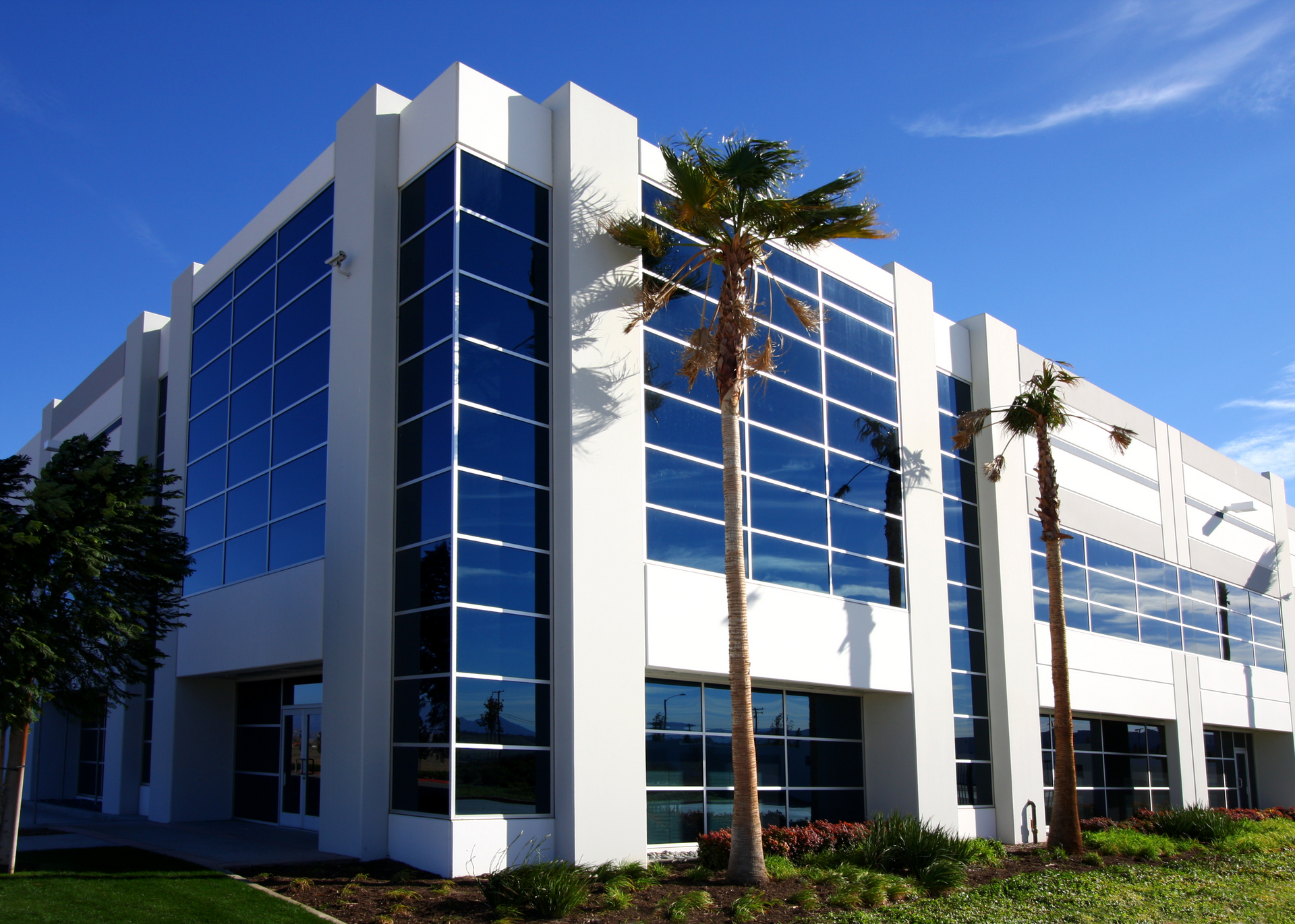 A large white building with palm trees in front of it