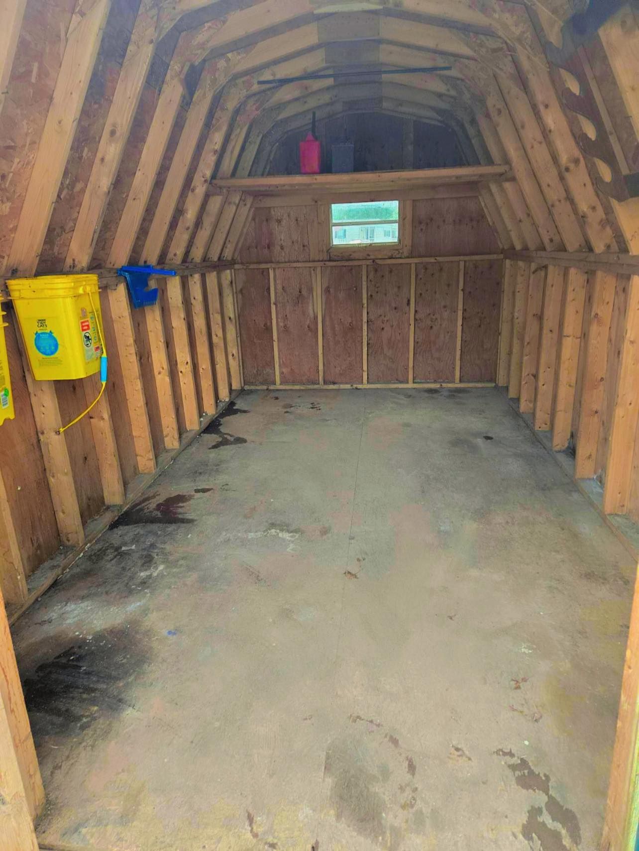 trash removal near me