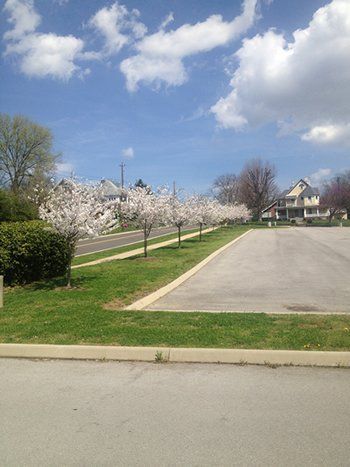 A parking lot with trees in the background and a house in the background.