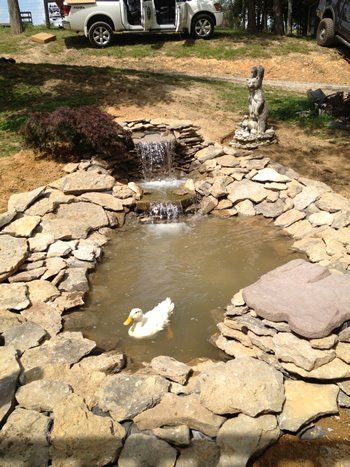 A duck is swimming in a pond with a waterfall.