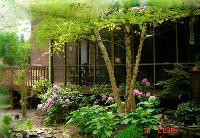 A screened in porch with a tree and flowers in front of it