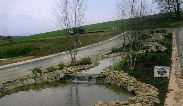 A small pond surrounded by rocks and trees next to a road.