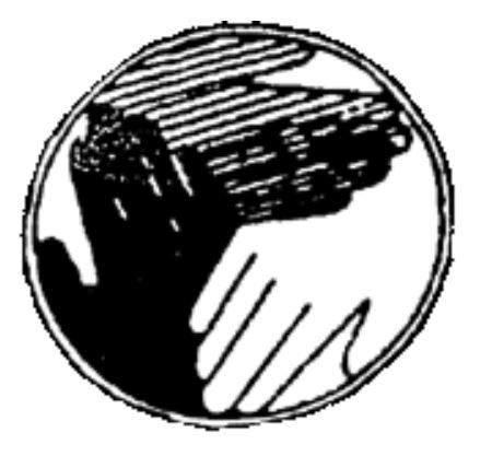 Logo PMC Waalre