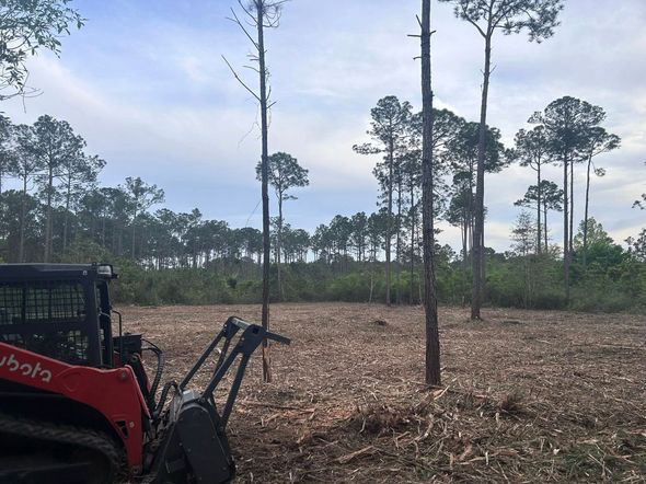 Red Kubota skid steer in a cleared area with standing trees; blue sky in the background.