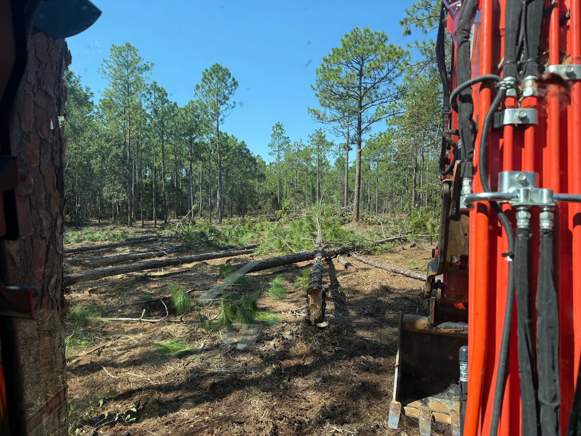 Clearing in a forest, viewed from inside construction equipment. Trees and debris on the ground; bright blue sky.