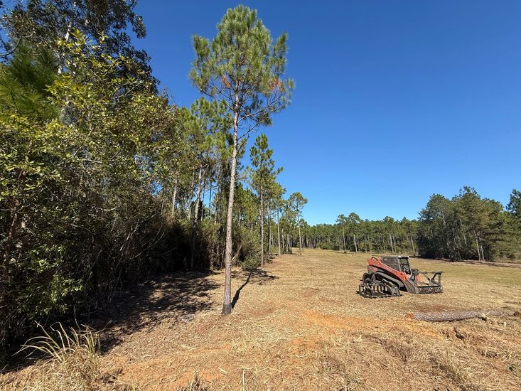 A sunny field with a tractor mulching vegetation. A line of trees borders the field.