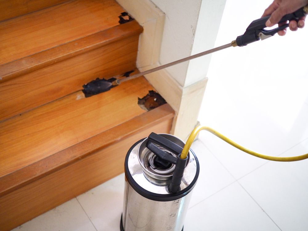 Person Spraying Insecticide On Damaged Wooden Stairs — Brazel's Pest Control in Coffs Harbour, NSW