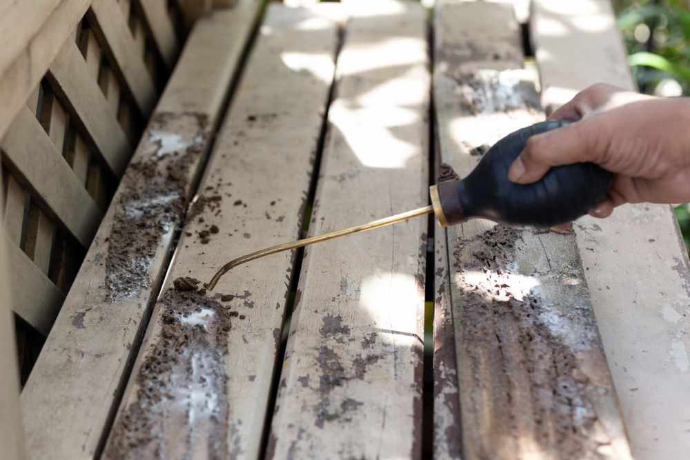Person Using A Bulb Duster To Apply Powder To Weathered Wooden Slats — Brazel's Pest Control in Coffs Harbour, NSW