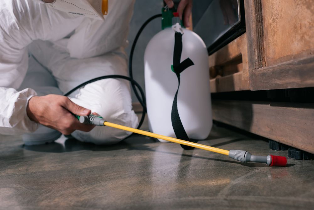Person In Protective Suit Spraying Insecticide Near A Cabinet — Brazel's Pest Control in Grafton, NSW
