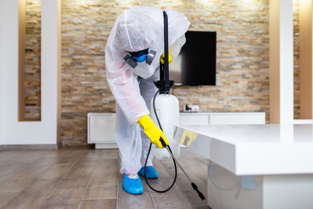 Pest Control Technician In Protective Suit Sprays Insecticide In A Living Room — Brazel's Pest Control in Dorrigo, NSW