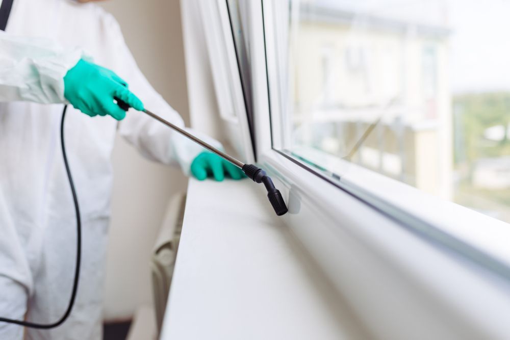 Person In Protective Suit Spraying Insecticide Near A Window — Brazel's Pest Control in Dorrigo, NSW