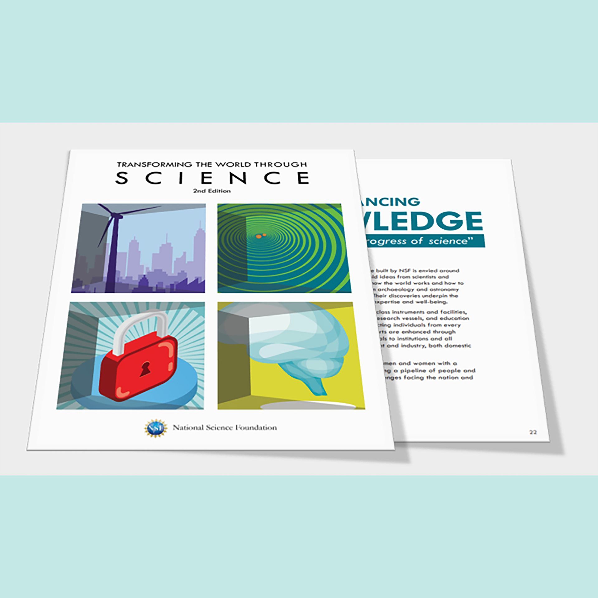 Annual Report: 50 page National Science Foundation annual publication