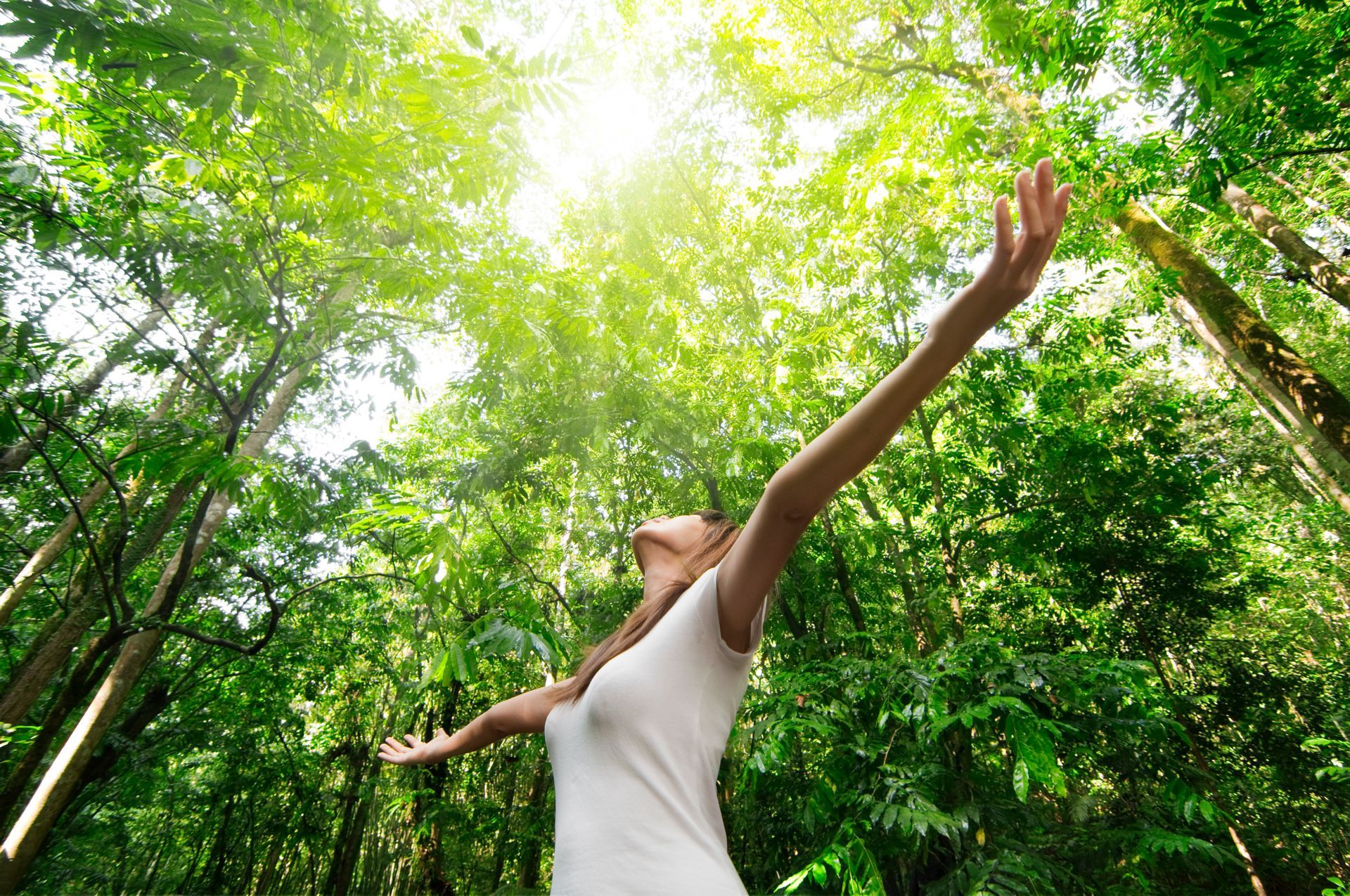 Mujer con los brazos extendidos, disfrutando de la luz del sol en un bosque verde.