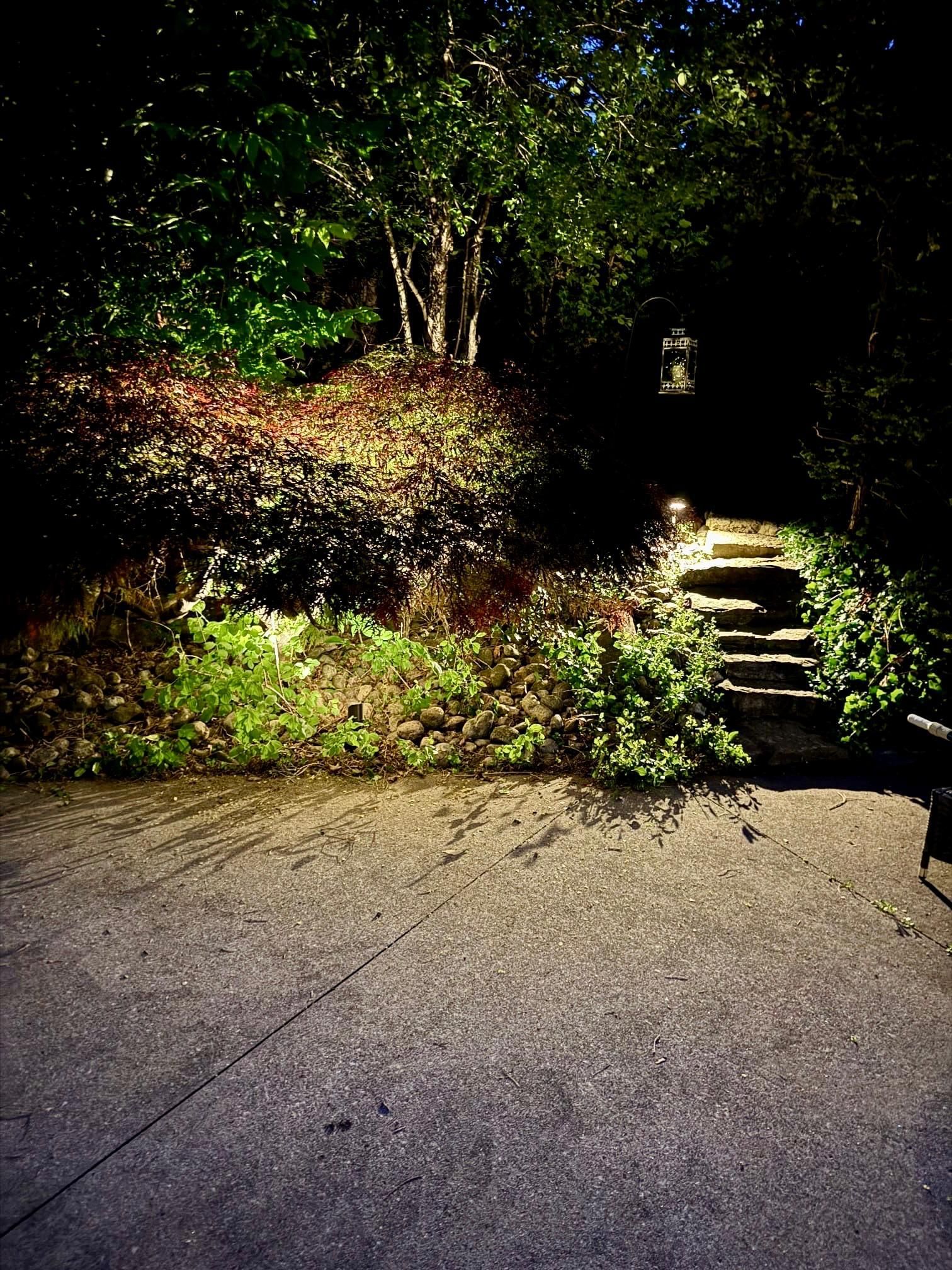 Stone garden steps illuminated with soft outdoor lighting
