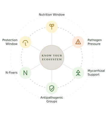 Circular ecosystem diagram with “Know your ecosystem” at center and six labeled support factors around it.