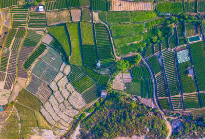 Aerial view of patchwork farm fields in green, tan, and brown with winding dirt roads and hedgerows