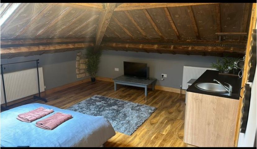 A bedroom with a bed , television , and sink.