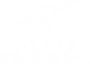 Raine Electrical