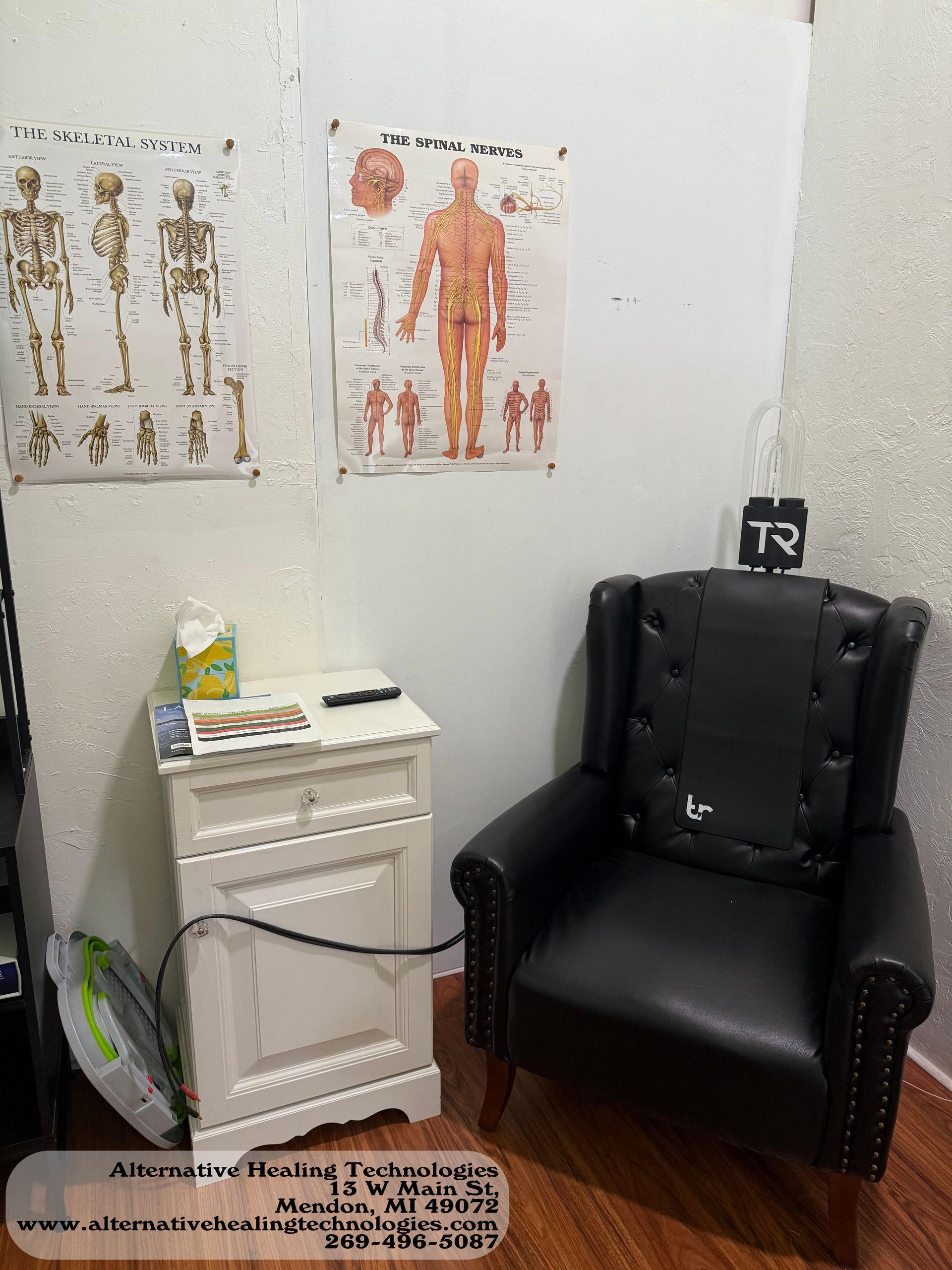 TrueRife Detox system. Sinus relief, allergy relief, edema treatment, skin cancer treatment, arthritis relief, neuropathy treatment, heavy metals detox, prostate treatment. Innovative solutions for health. Alternative healing technology. Heal your body.