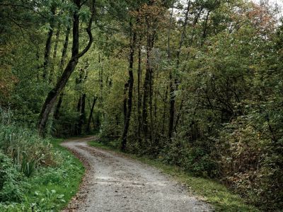 Get on Track Workshop