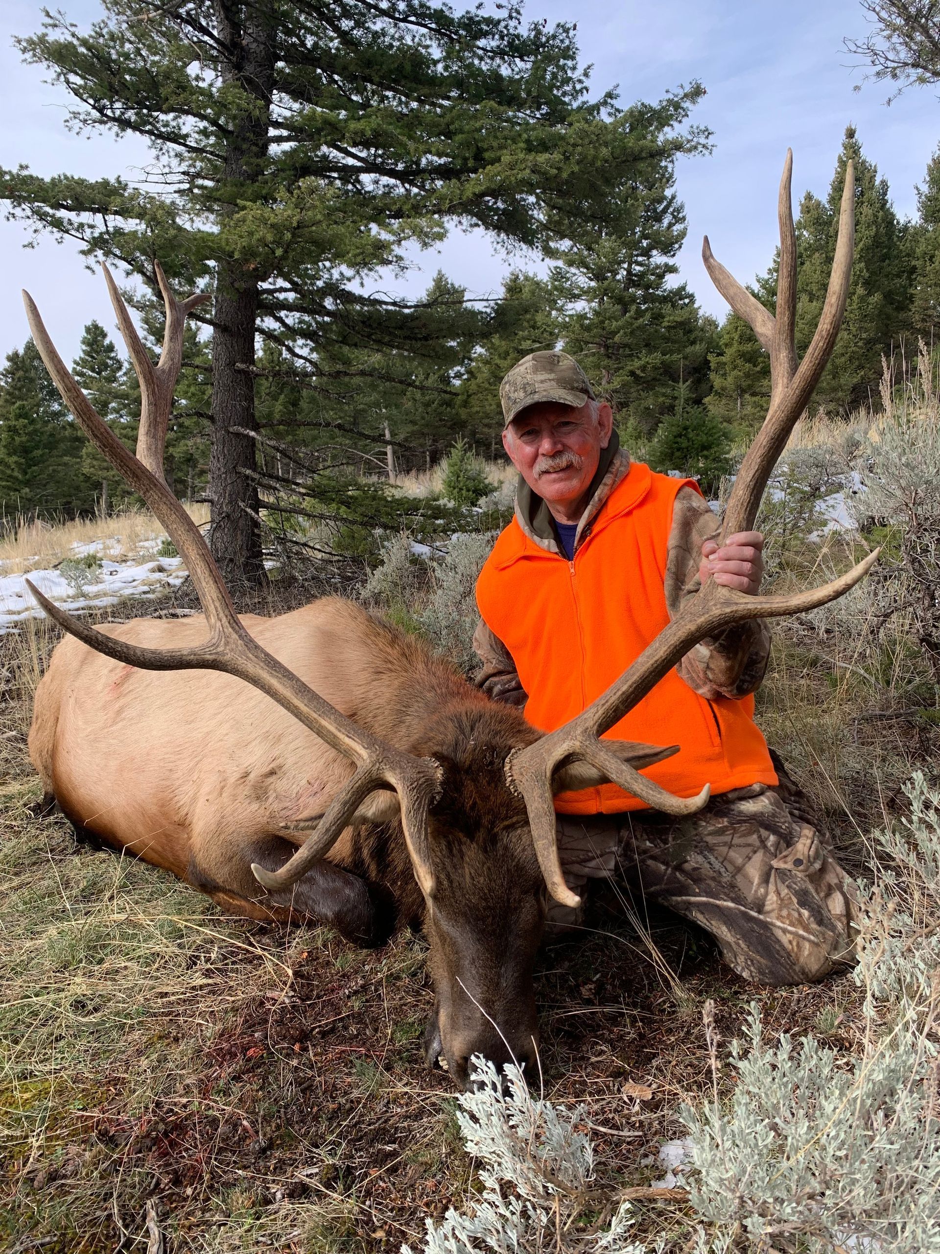 A man in an orange vest is kneeling next to a large elk.