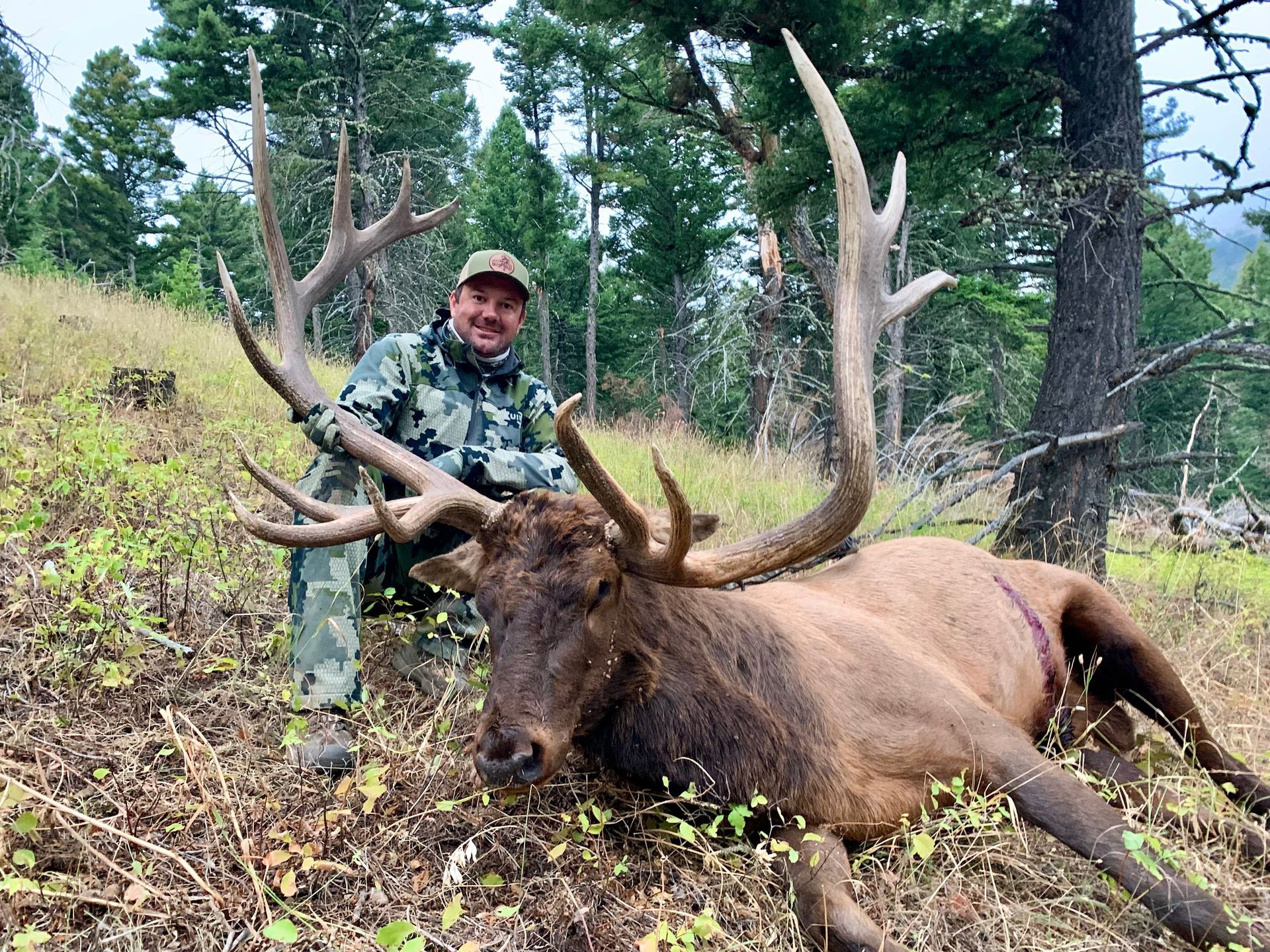 A man is kneeling next to a large elk in the woods.
