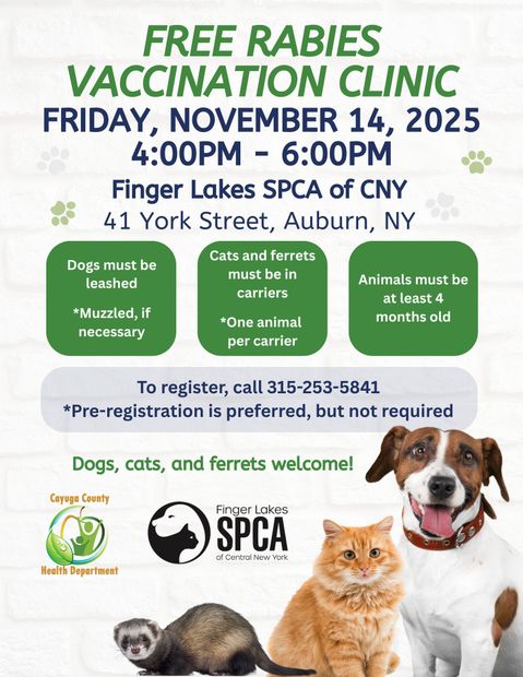 Free rabies vaccination clinic flyer